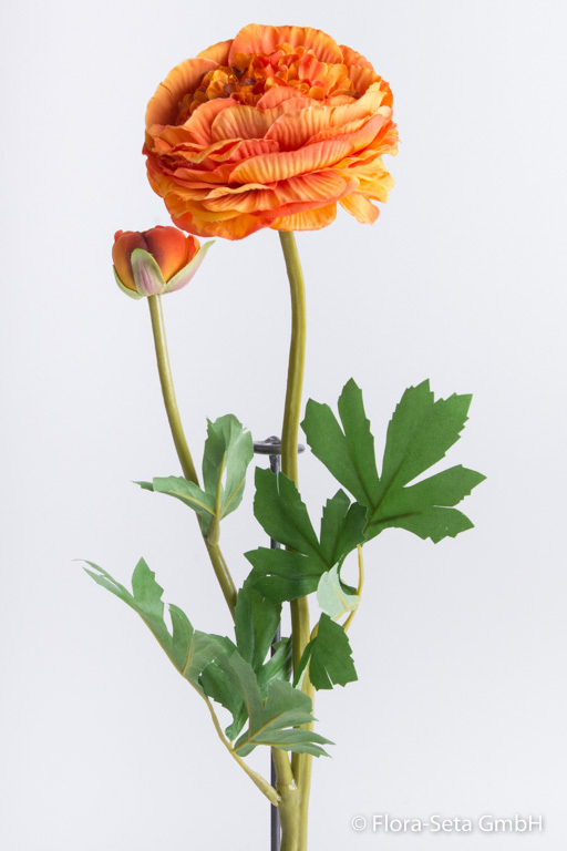 Ranunkel mit 1 Blüte, 1 Knospe und 7 Blättern Farbe: hellorange-dunkelorange