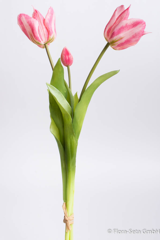 Tulpenbündel offen mit 3 Stielen, Farbe: pink "real touch"