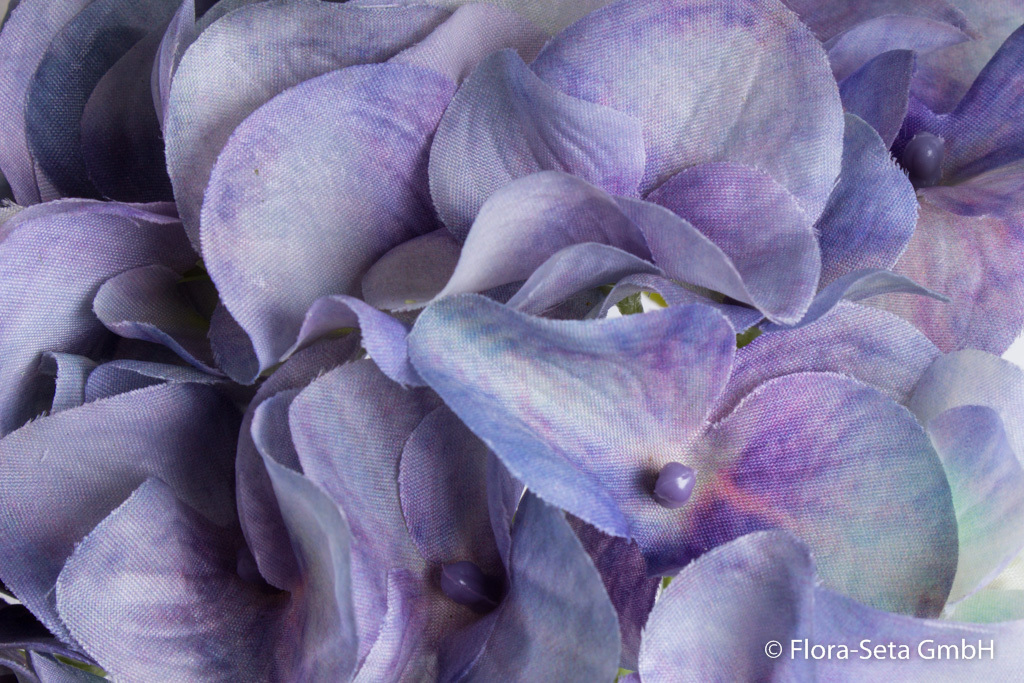 Hortensie mit 6 Blättern Farbe: antikblau-lila