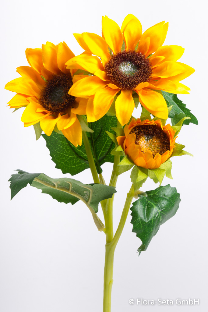 Sonnenblume mit 2 Blüten, 1 Knospe Farbe: gelb