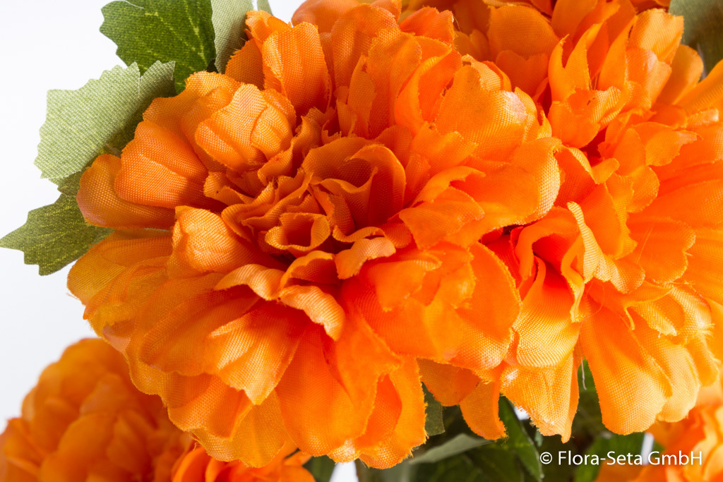 Tagetesbund (Studentenblume) mit 3 Stielen und 6 Blüten Farbe: orange