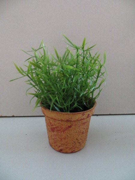 Mini Pflanzen Sortiment(1Einheit=4Stück sortiert) in terrakottafarbenem-hellbraunem Kunststofftopf