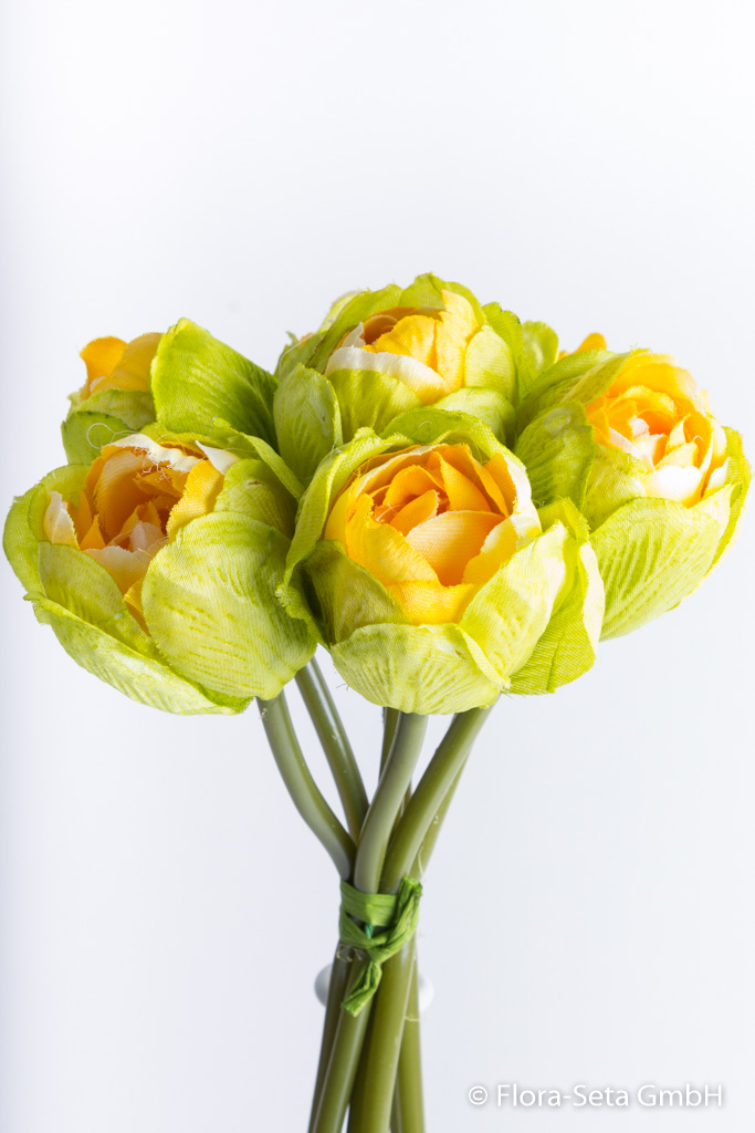 Tulpenbündel mit 7 Blüten Farbe: grün-gelb
