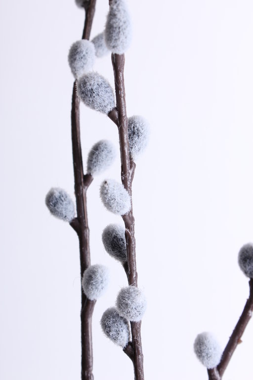 Weidenkätzchen mit 3 Zweigen Farbe:grau-weiß