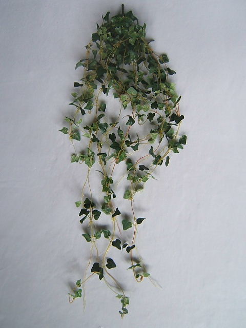 Mini-Efeu Hängebusch mit kleinen Blättern
