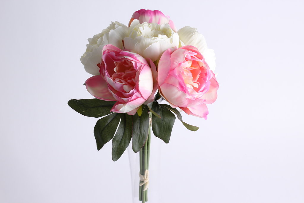 Pfingstrosenbündel mit 6 Blüten Farbe: creme-hellpink-pink