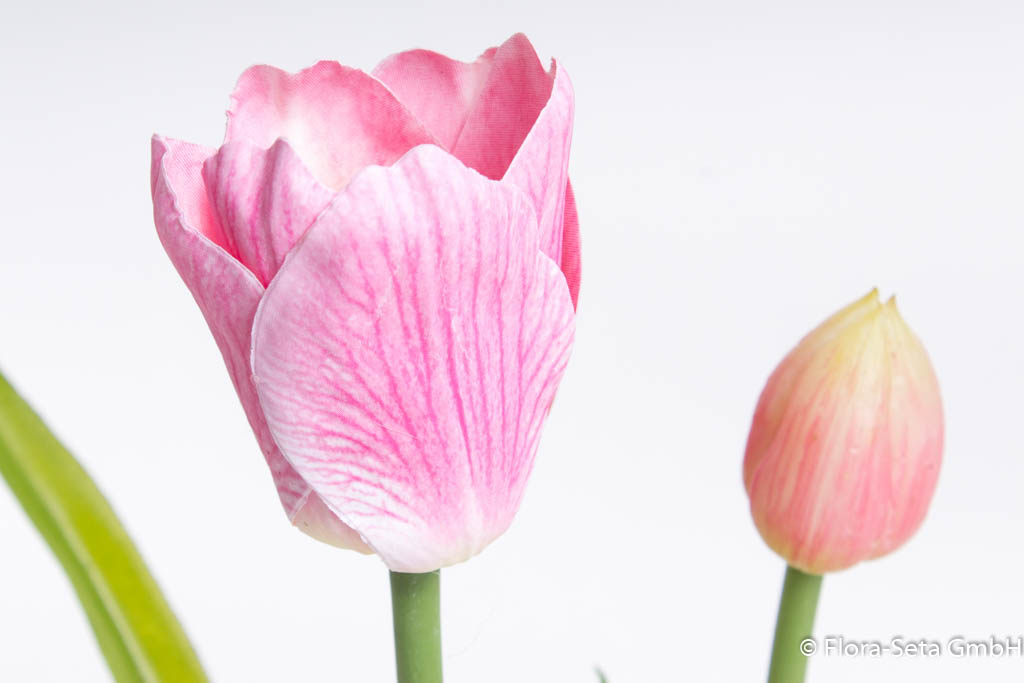 Tulpenarrangement mit Erdballen im Glas Farbe: rosa