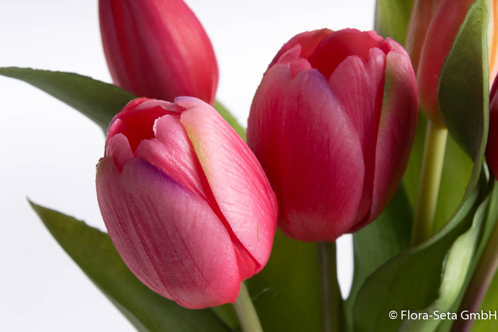 Tulpenbündel Sally mit 4 Tulpen und 3 Tulpenknospen Farbe:beauty "real Touch"