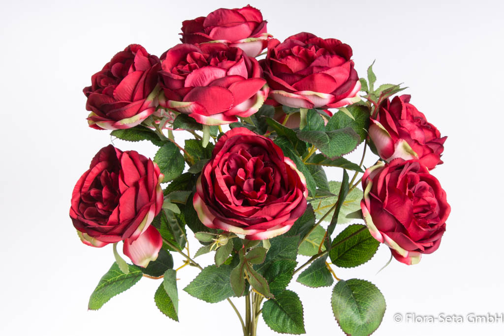 Englischer Rosenbusch mit 10 Rosen Farbe: dunkelrot