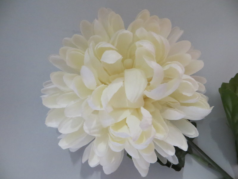 Chrysantheme mit 3 Blättern Farbe:creme