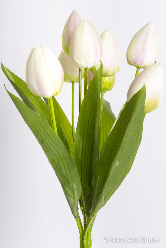 Tulpenbusch mit 9 Tulpen und Blättern Farbe: creme - leicht rosa