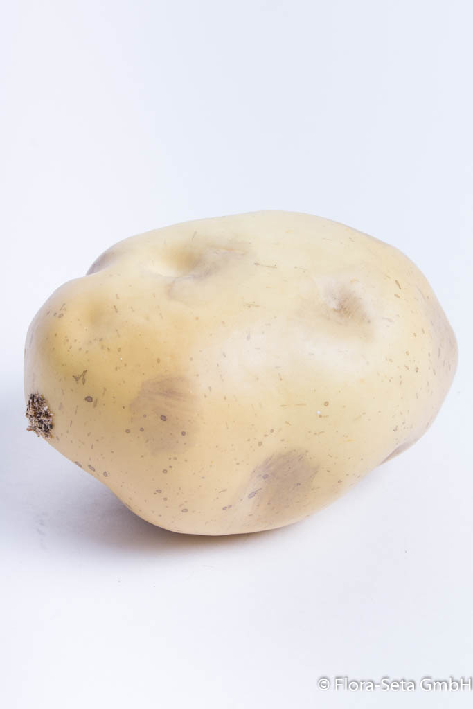 Kartoffel Farbe: hellbraun