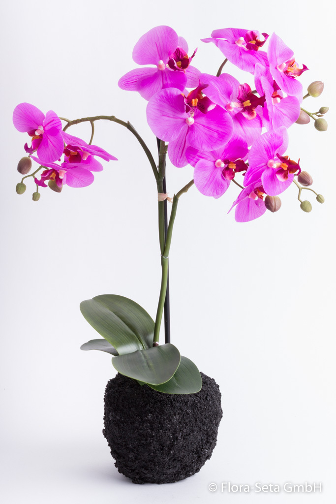 Orchidee auf künstlichem Erdballen mit 1 Stiele und 3 Rispen "real touch" Farbe: beauty