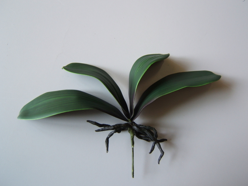 Orchideenblattbündel mit 4 Blättern und  Luftwurzeln, 25 x 38 cm