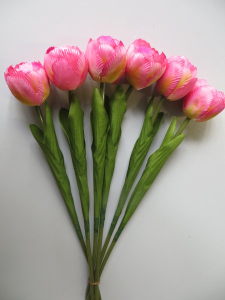 Tulpe Nova mit 2 Blättern (1 Einheit = 6 Stück) Farbe: pink