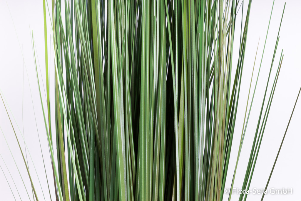 Grasbusch (dicht) Farbe: grün