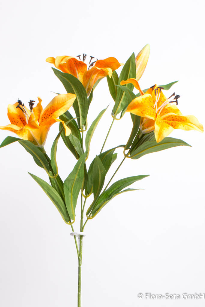 Lilie mit 3 Blüten, 1 Knospe und Blättern, Farbe: orange