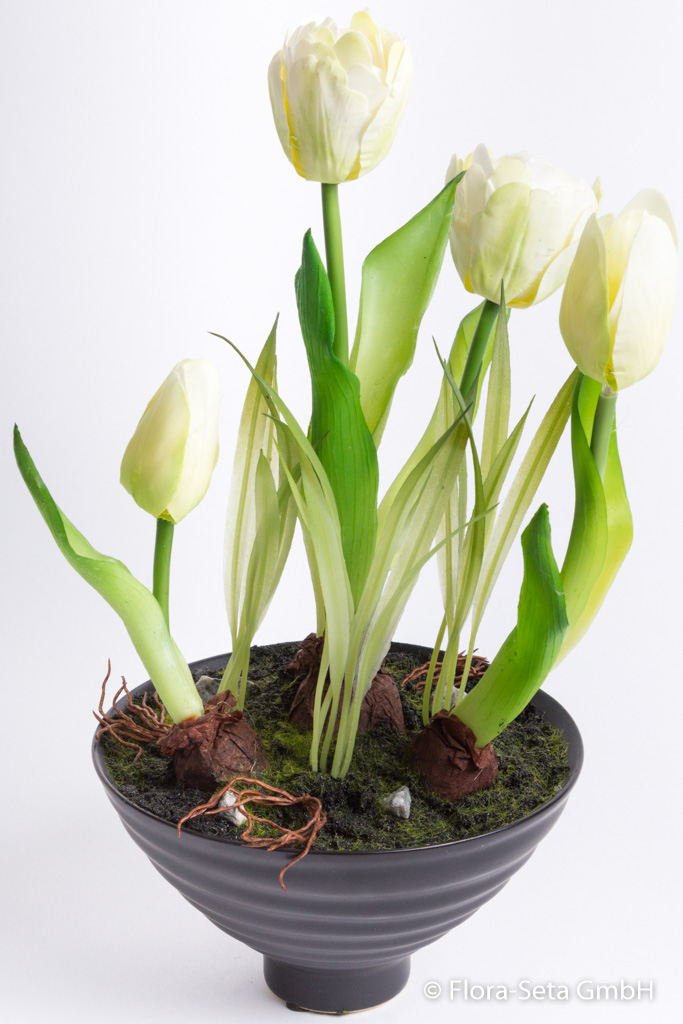 Tulpenarrangement in schwarzer Keramikschale Farbe: creme