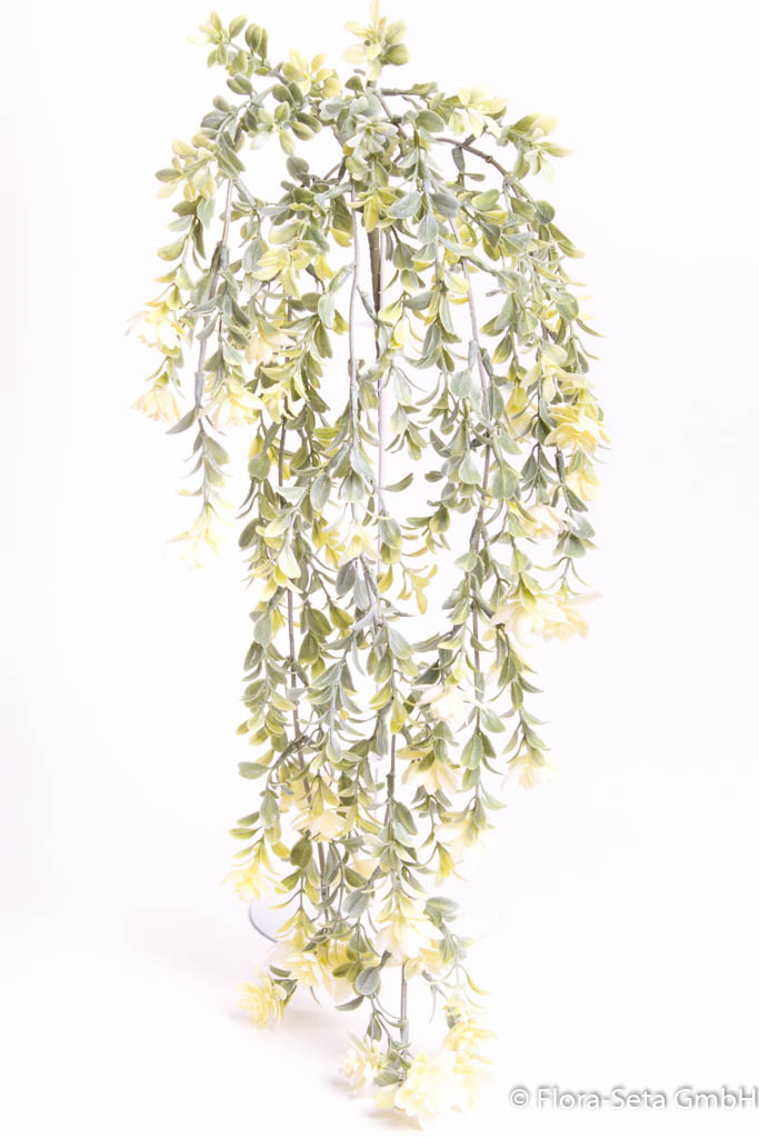 Kunststoffhängebusch mit 5 Stielen mit Blüten, Farbe: creme-weiß