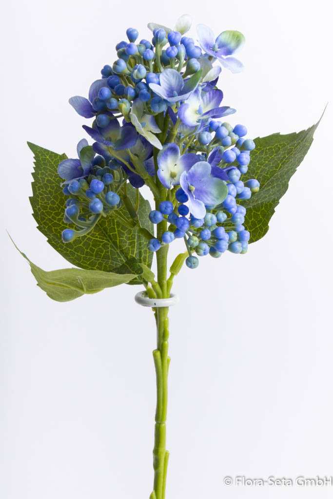 Flieder Hortensienzweig mit 3 Blättern Farbe: blau