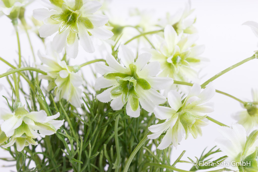 Blütenbusch im weißen Tontopf Farbe: weiß-hellgrün