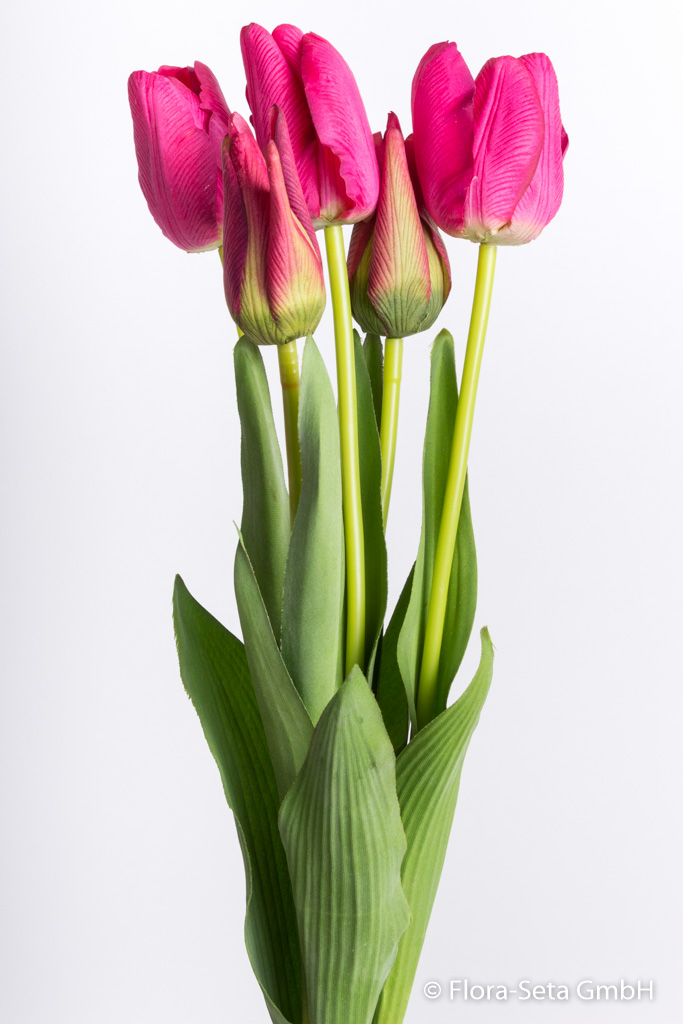 Tulpenbündel mit 3 Tulpen und 2 Tulpenknospen Farbe: beauty "real touch"