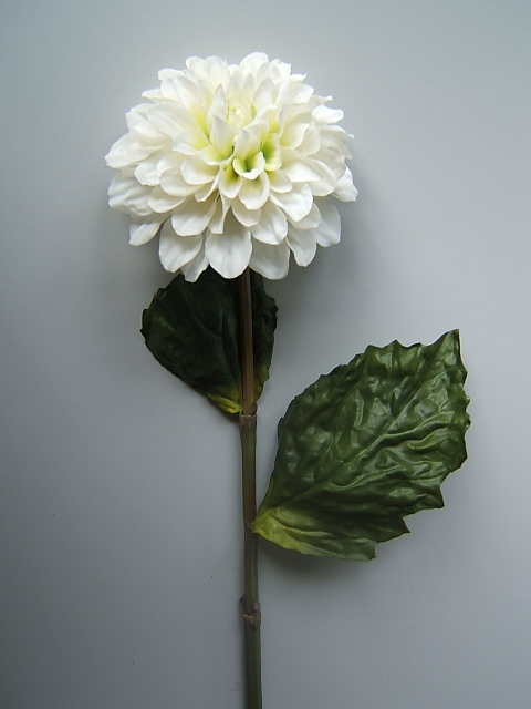 Dahlie mit 2 Blättern Farbe:weiß