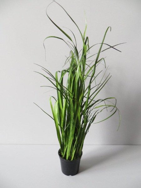 Grasbusch in schwarzem Kunststofftopf, 44 x 25 cm