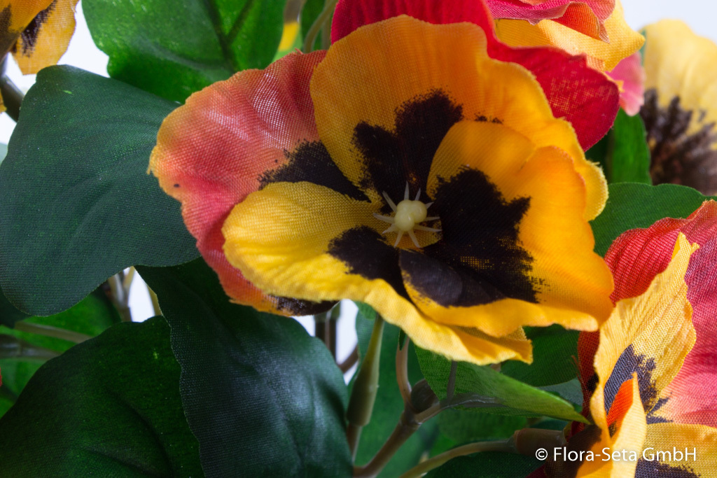 Stiefmütterchenbusch mit 9 Blüten Farbe: gelb-orange