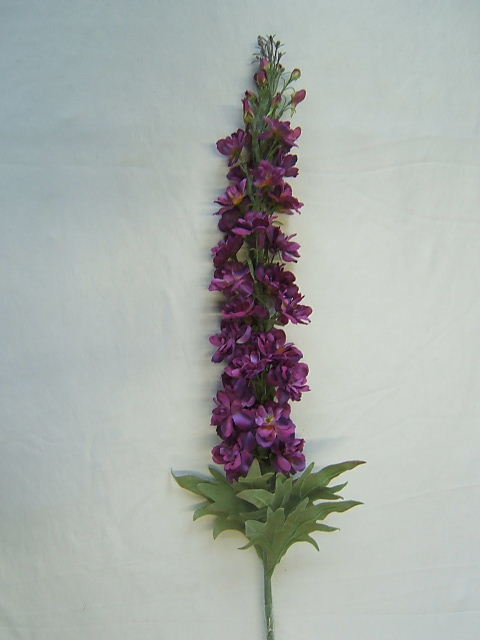 Delphiniumzweig mit 7 Blättern und ca. 40 Blüten/Knospen Farbe:violett