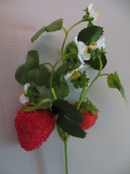 Erdbeerpick mit 2 Erdbeeren