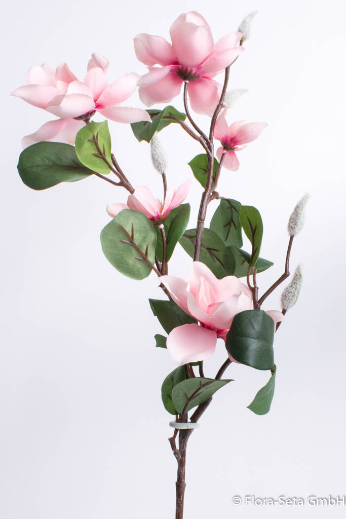 Magnolienzweig Farbe: rosa