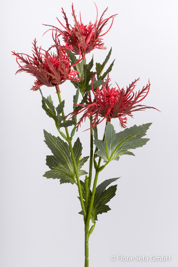 Sea-Holly-Distelzweig mit 3 Blüten Farbe: rot
