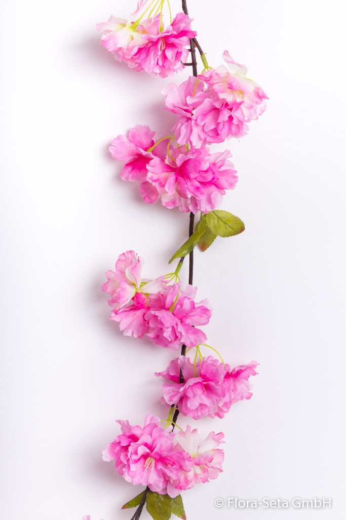 Kirschblütengirlande Farbe: beauty