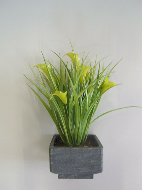 Callabusch mit 7 Blüten und Gräsern in quadratischem, grauem Kunststoffgefäß Farbe:grün
