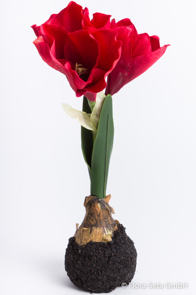 Amaryllis auf künstlichem Erdballen Farbe:rot