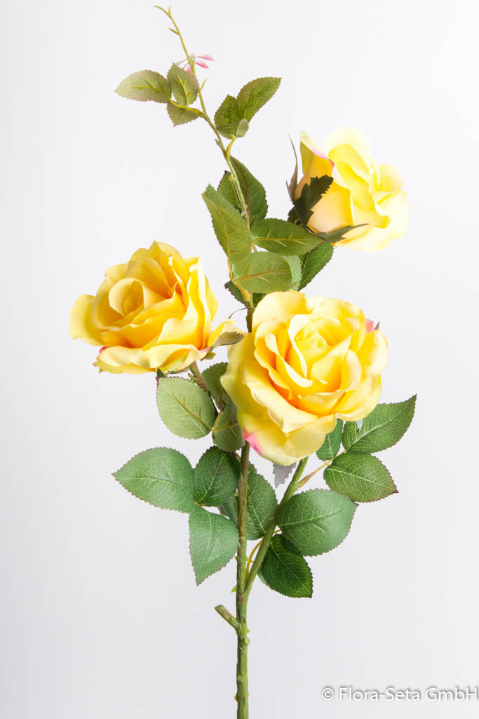 Rosenzweig mit 3 Blüten Farbe: gelb