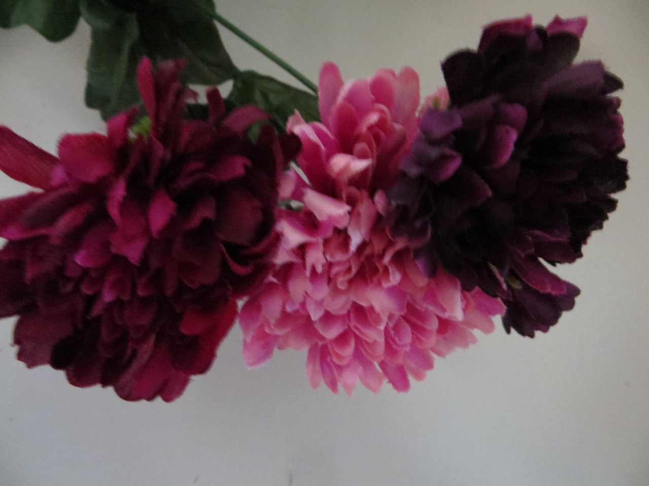 Chrysanthemenstrauß mit 36 Stielen, 36 großen Blüten und 16 kleinen Blüten Farbe: altrosa/bord/viol.