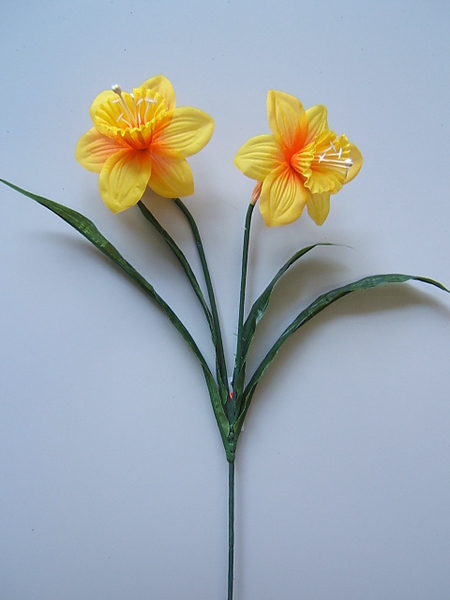 Narzisse mit 2 Blüten und 4 Blättern