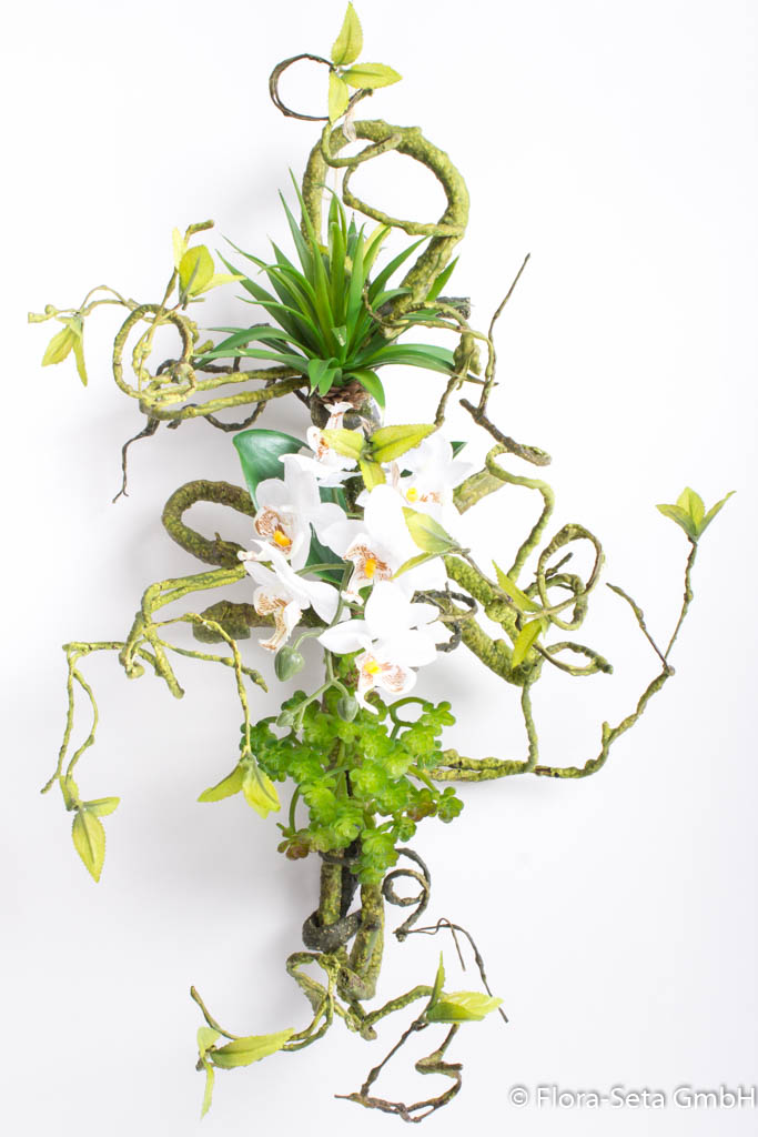 Epiphyten-Ast mit Orchideen und Sukkulenten