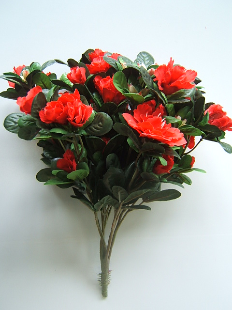 Azaleenbusch mit 15 Zweigen Farbe:rot