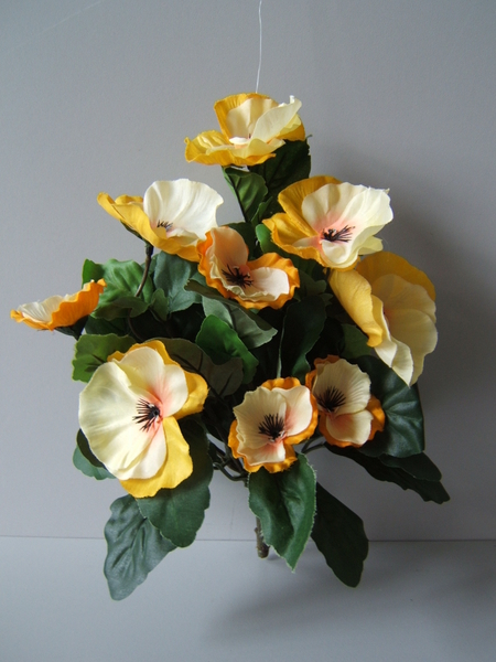 Stiefmütterchenbusch (Pansy) groß mit 9 Blüten Farbe: gelb-orange