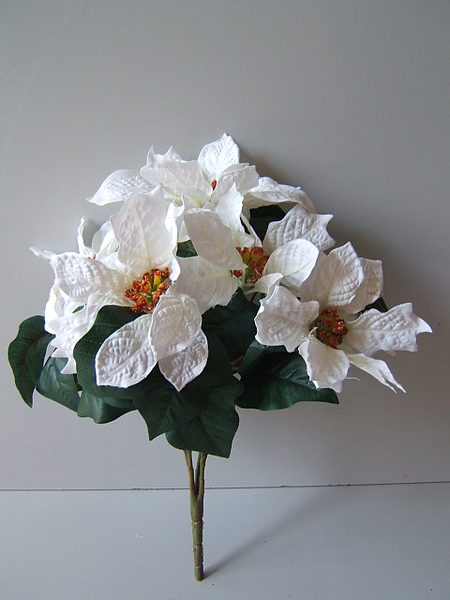 Poinsettienbusch mit 5 Stielen Farbe:weiß