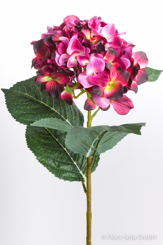 Hortensie mit 3 Blättern Farbe: burgund