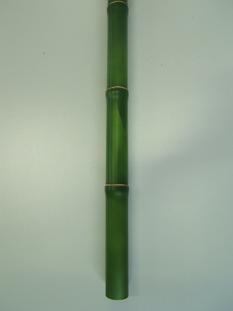 Bambusrohr