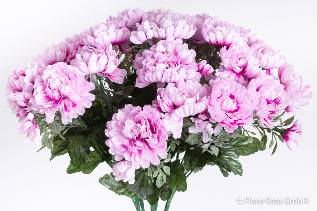 Chrysanthemenstrauß mit 7 Stielen, 28 großen Blüten Farbe: creme-pink
