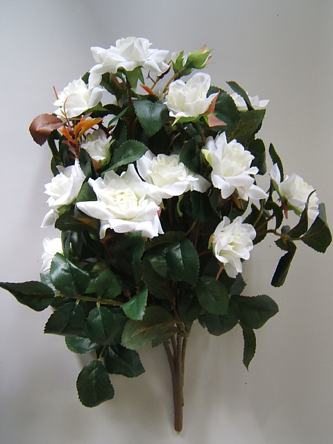 Rosenbusch mit 4 Stielen und 13 Blüten Farbe:weiß