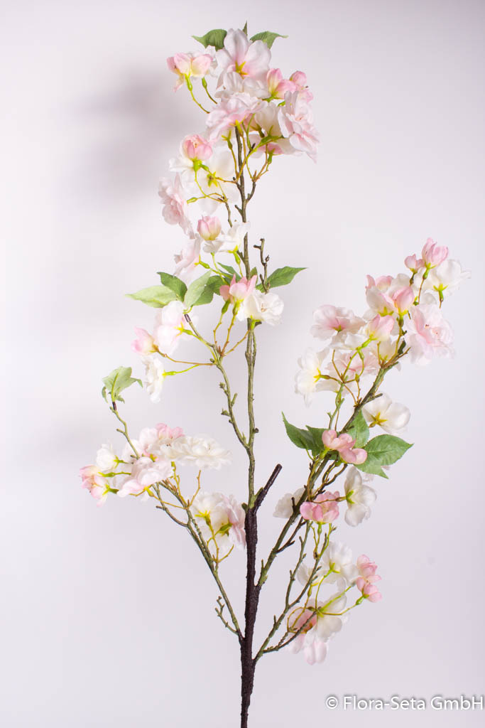Kirschblütenast, Höhe ca. 110 cm Farbe: creme-weiß-rosa