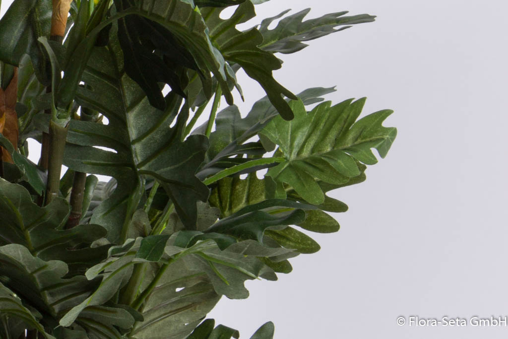 Philo-Pflanze im braunen Kunststofftopf, Höhe ca. 60 cm