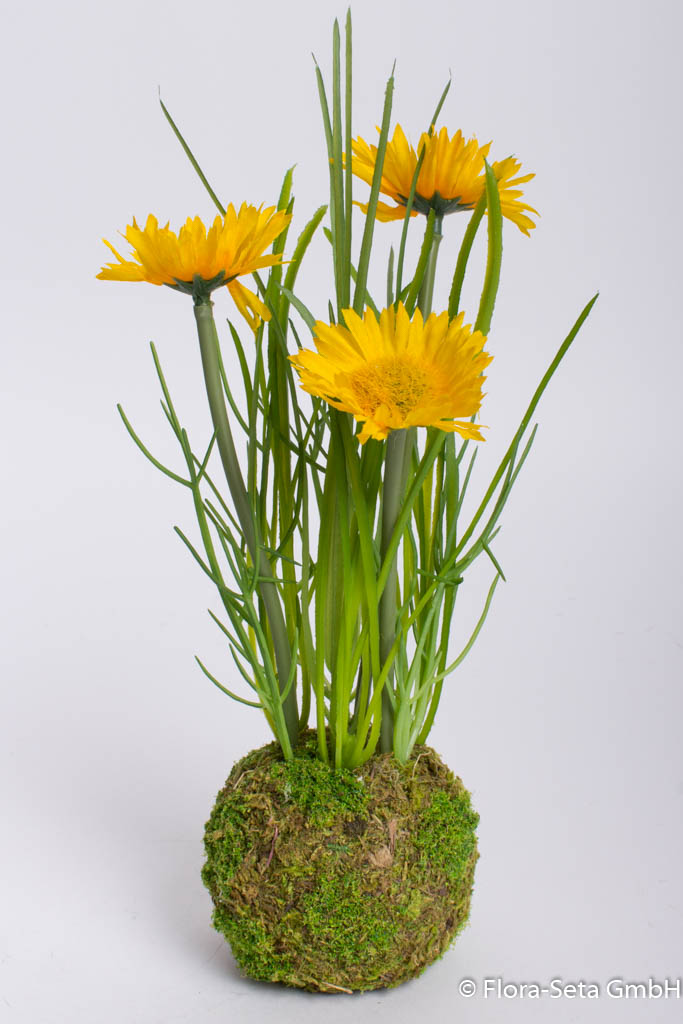 Frühlingsblumen-Arrangement im grünen Erdballen, Farbe: gelb